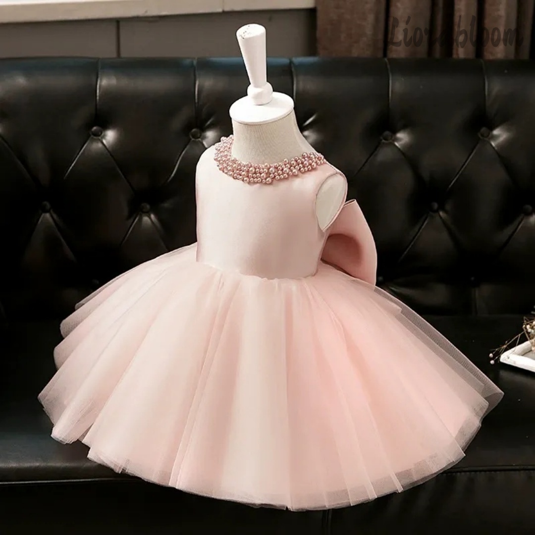 Girls' Evening Gowns Flower Gi - Women'S Formal Wear For Girls review and price