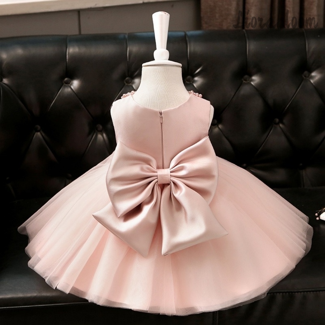 Girls' Evening Gowns Flower Gi - Women'S Formal Wear For Girls review and price